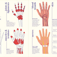 The Hand Book: A Complete Guide - Parkette.